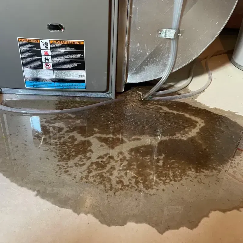 Appliance Leak Cleanup in Plains, MT